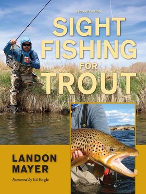 cover image of Sight Fishing for Trout